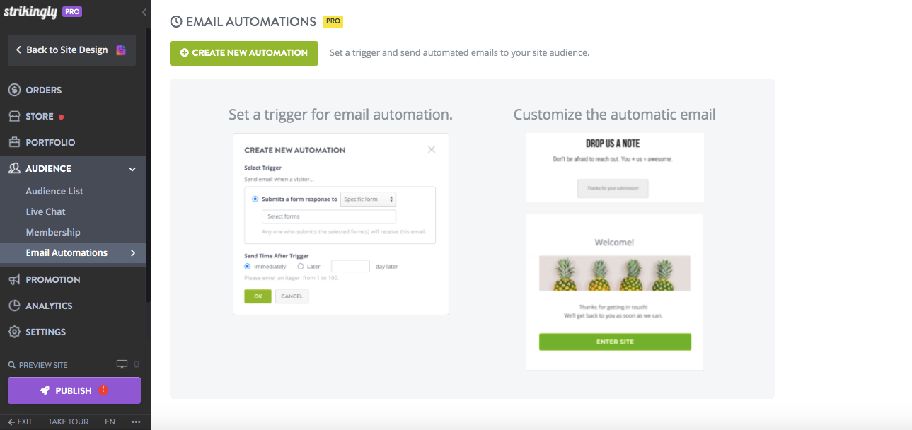 email automations section in the Strikingly editor email automations section in the Strikingly editor